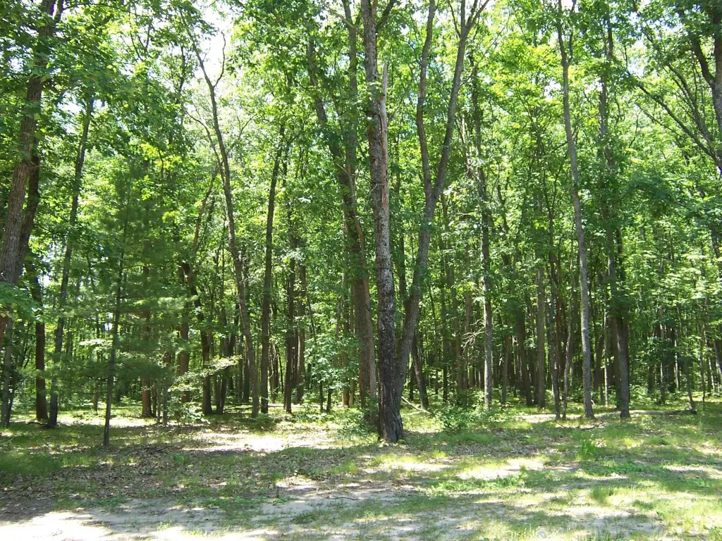 Picture 30