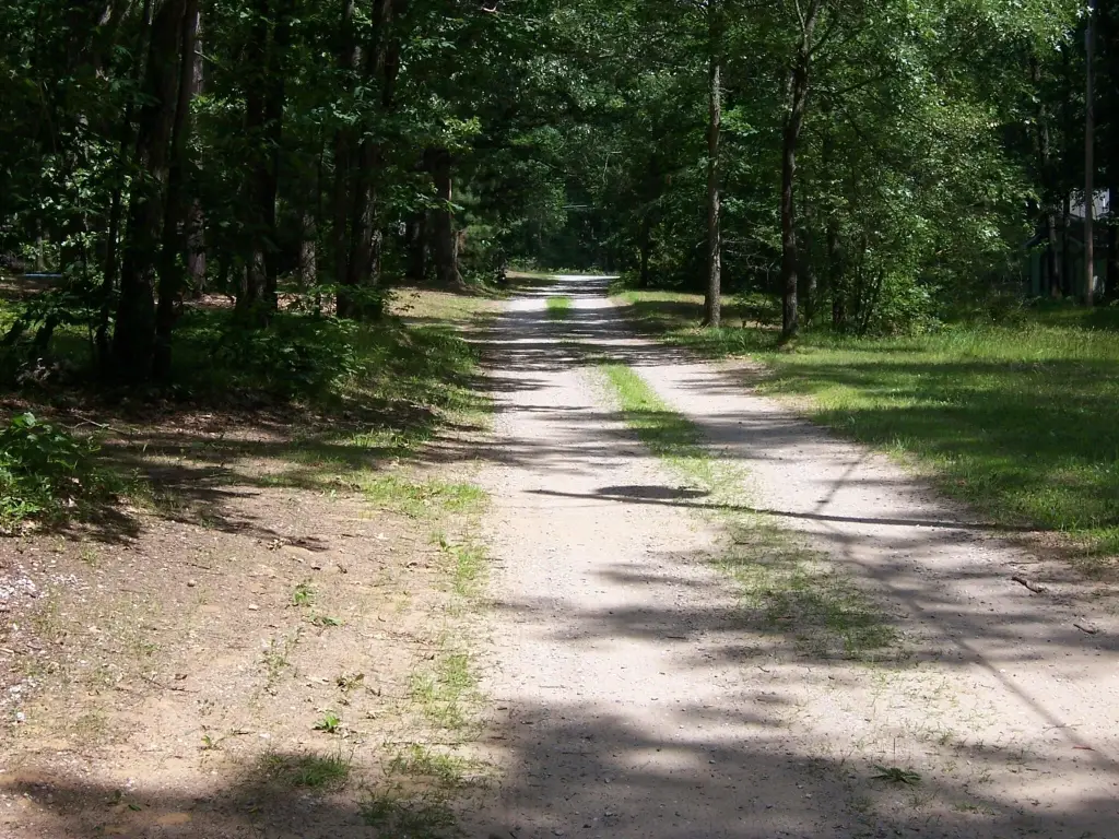 Picture 32