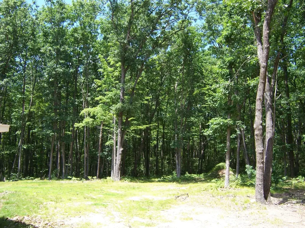 Picture 28