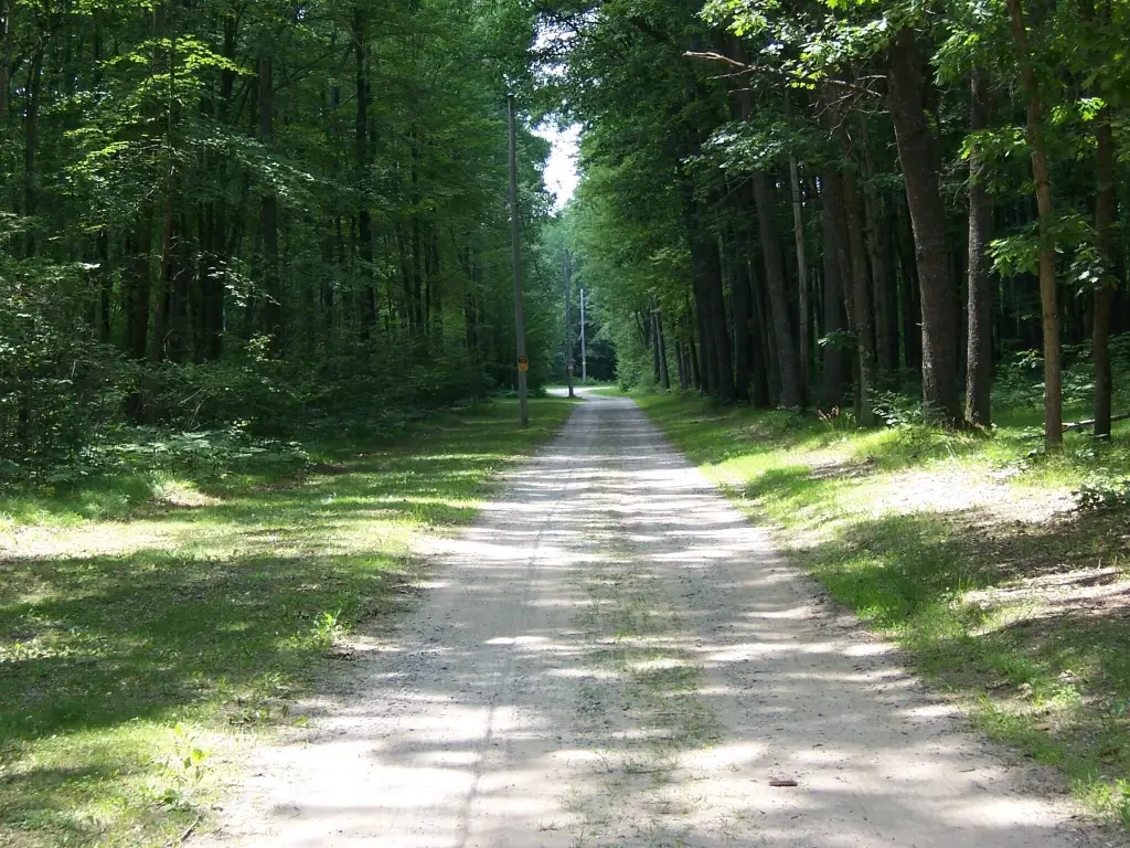 Picture 29