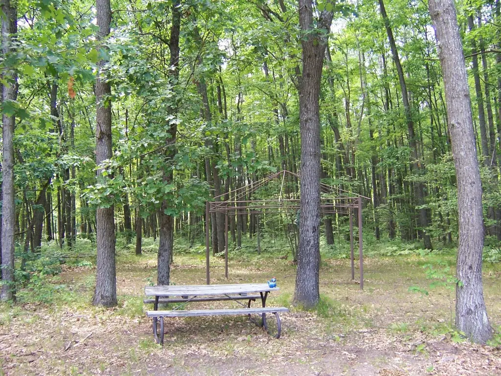 Picture 31