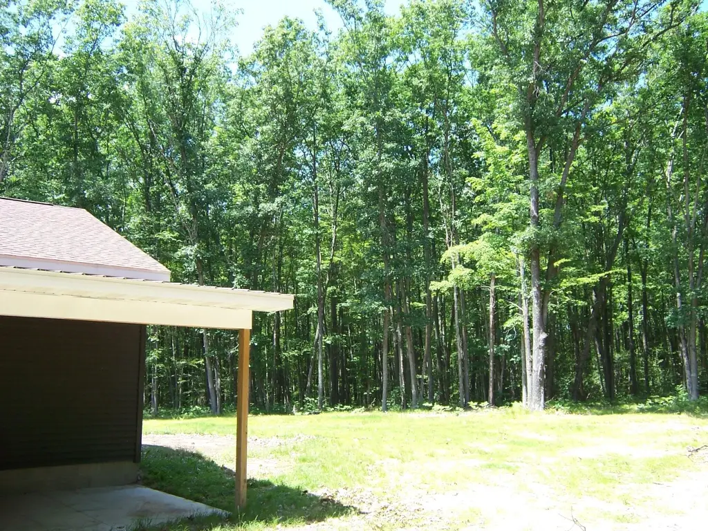 Picture 27