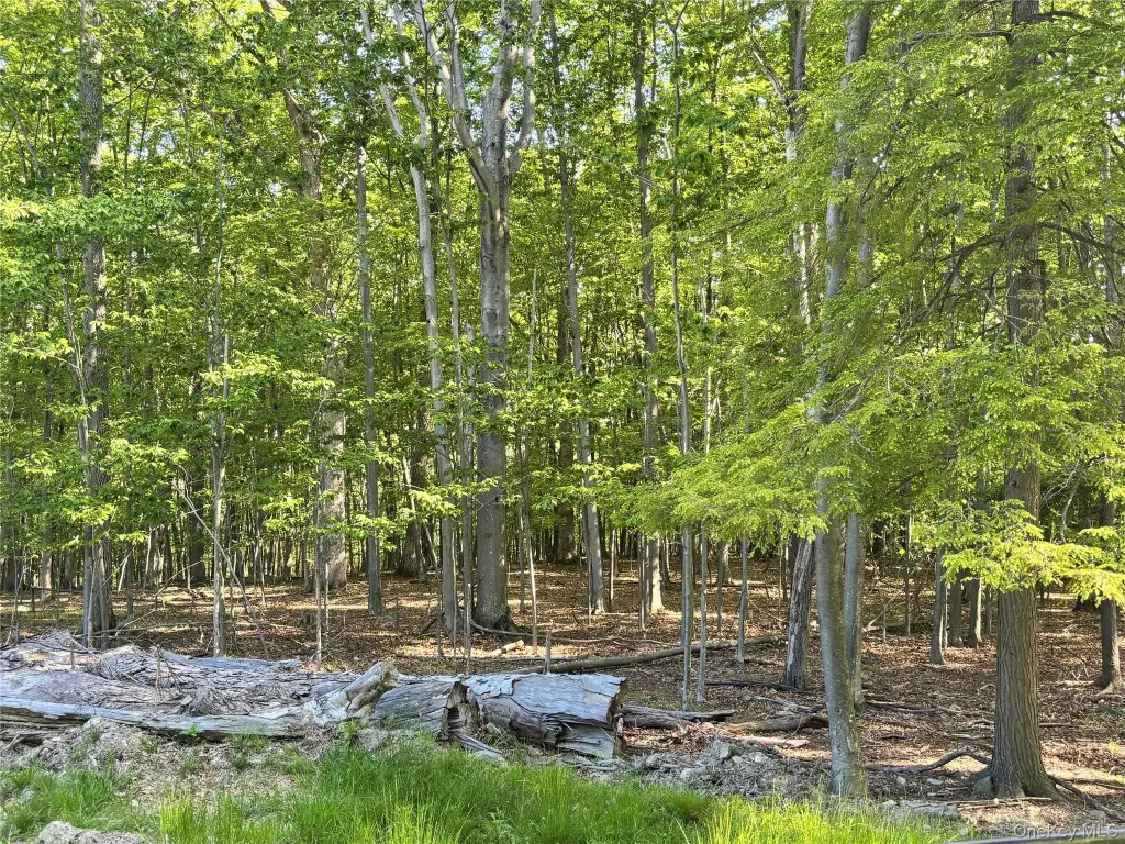 Picture 8