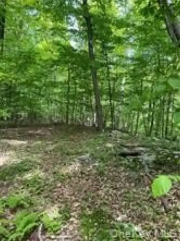 Picture 3