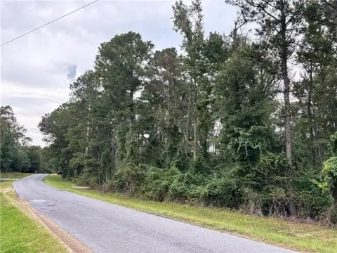 Residential Land in Pollock, LA