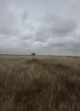 Unimproved Land in Abernathy, TX