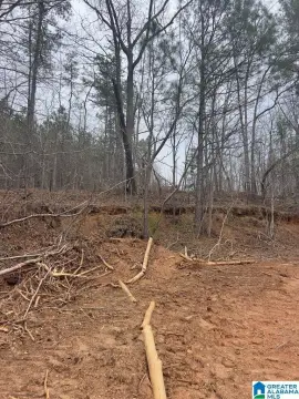 36 Acres Raw Land Heflin