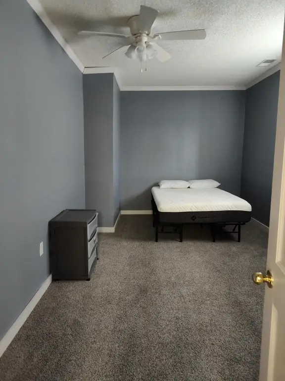 Picture 31