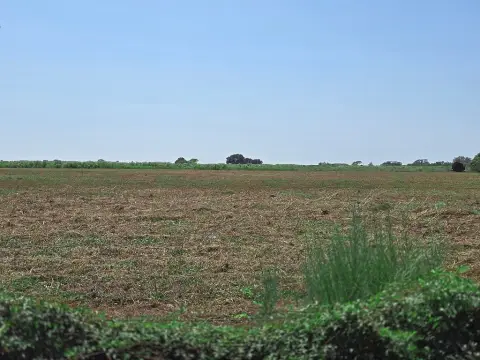 Residential Land in Austin County