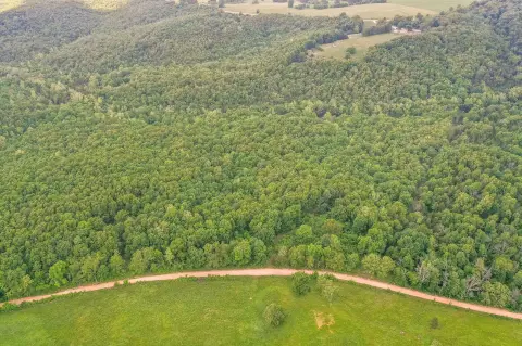 25-Acre Wooded Recreational Land