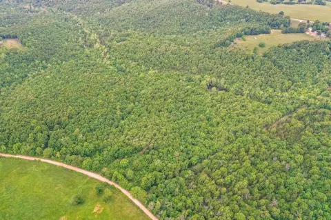 41 Acres Wooded Land, Drury