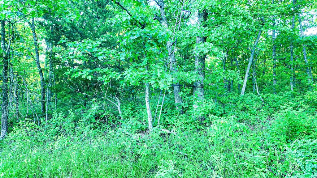Picture 25
