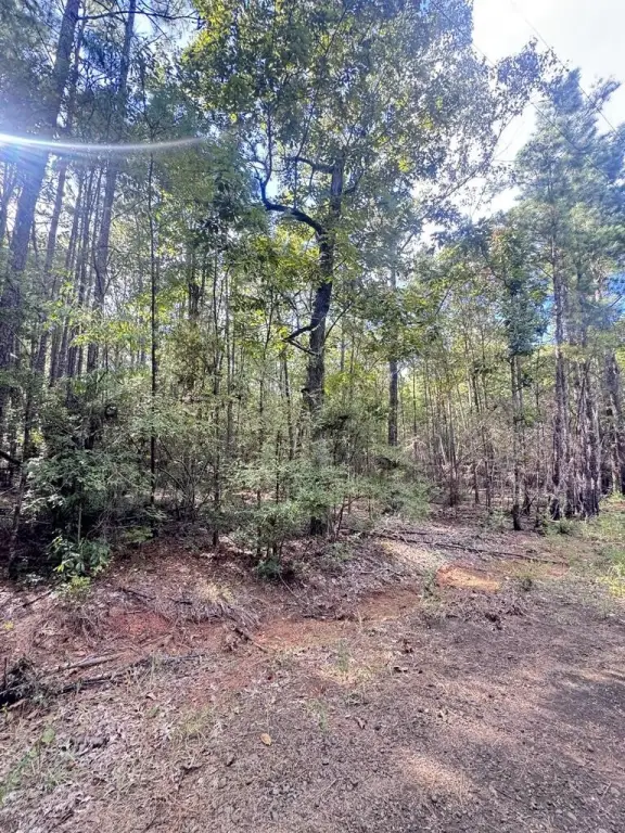 Picture 3