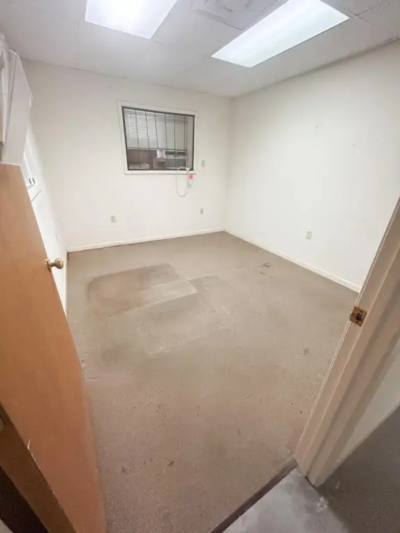 Picture 19