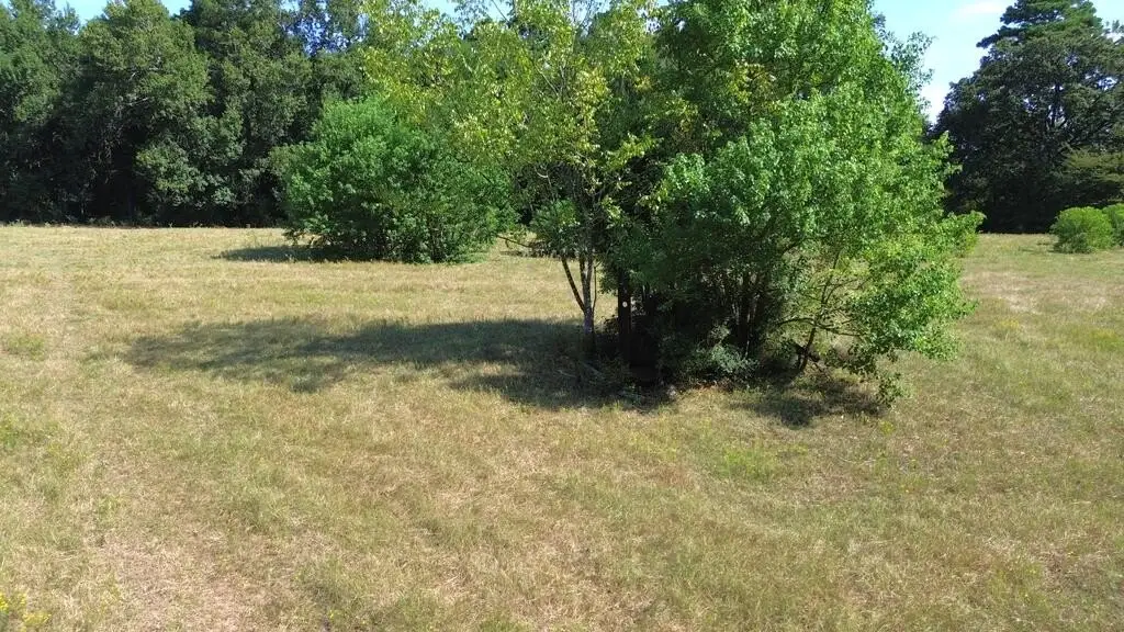 Picture 26