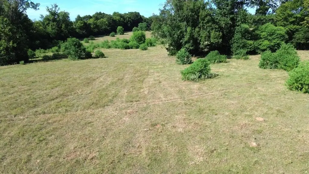 Picture 17