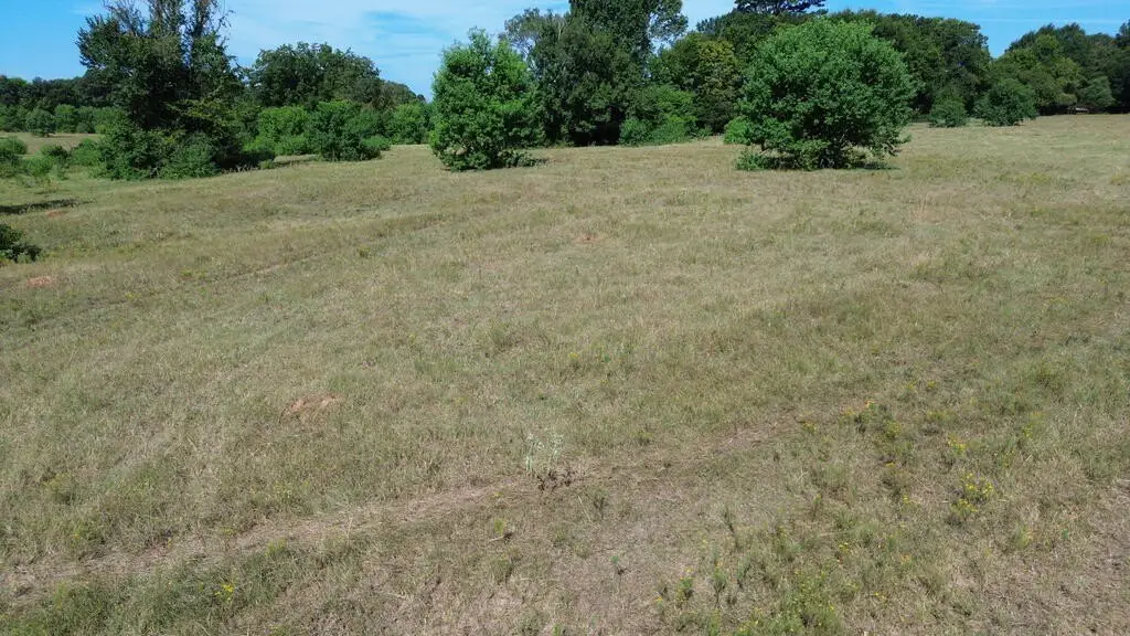 Picture 15