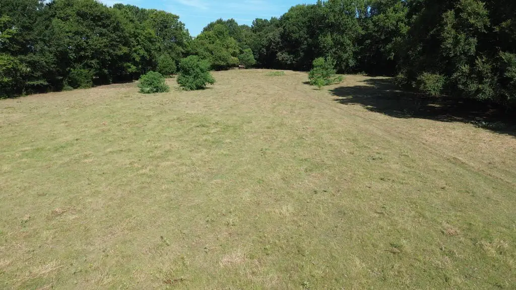Picture 16