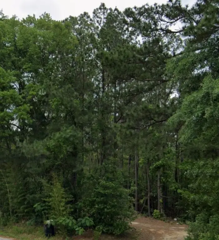 Picture 4