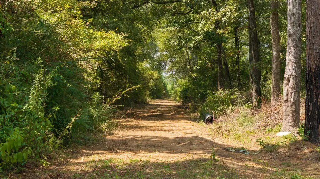 Picture 23