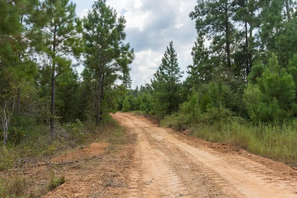 Picture 22