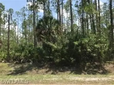 Naples Land For Sale