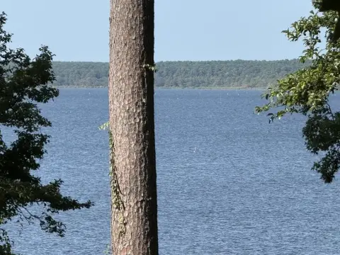 Waterfront Land Tract