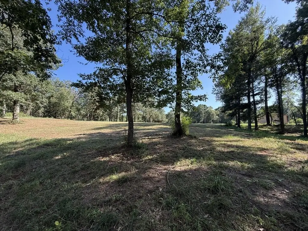 Picture 16