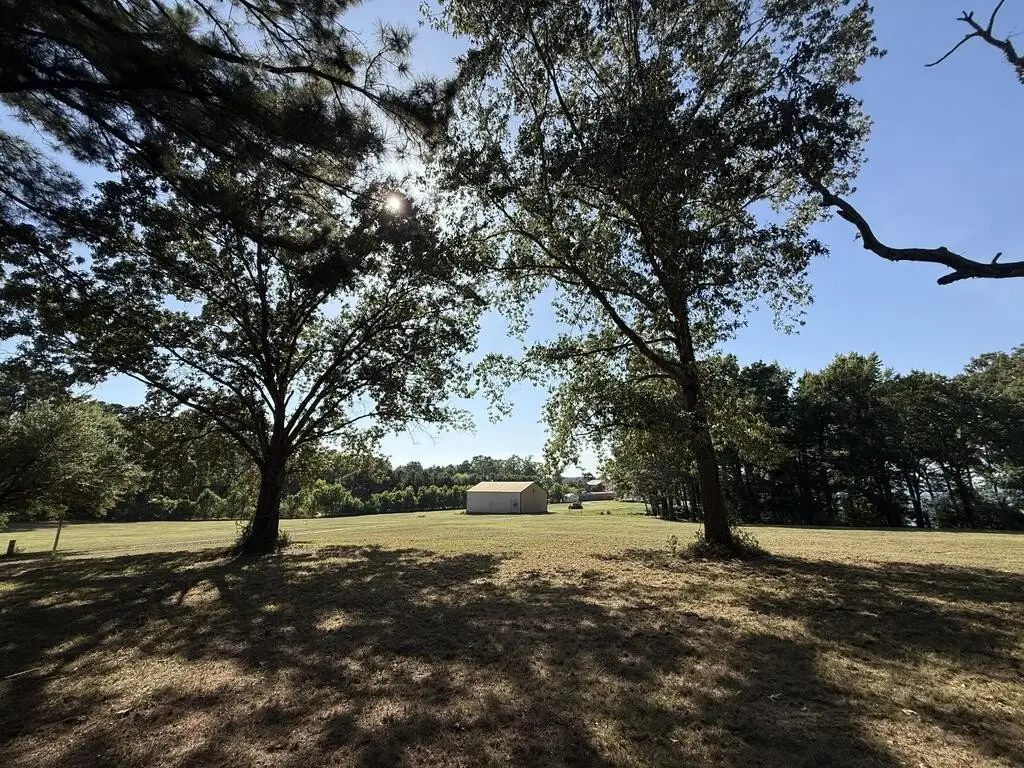 Picture 25