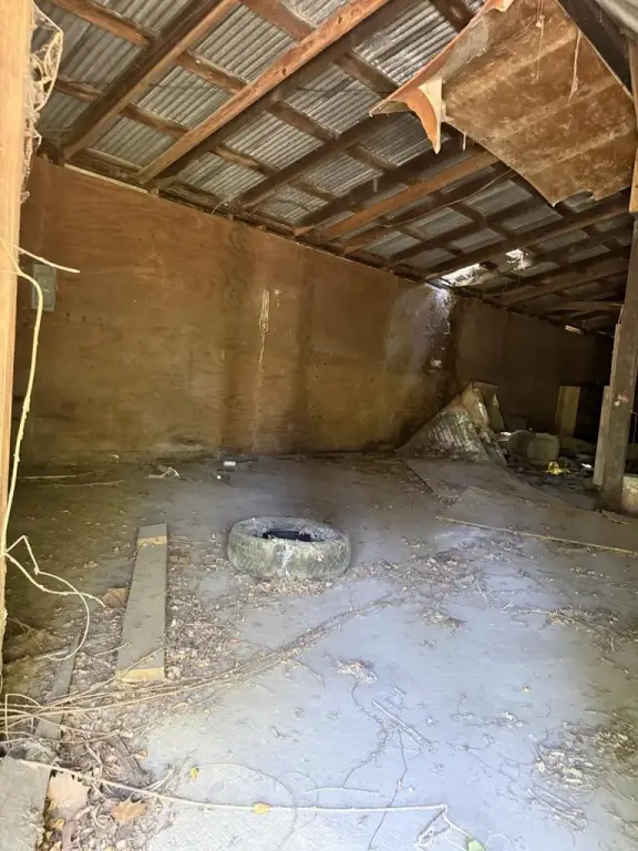 Picture 6