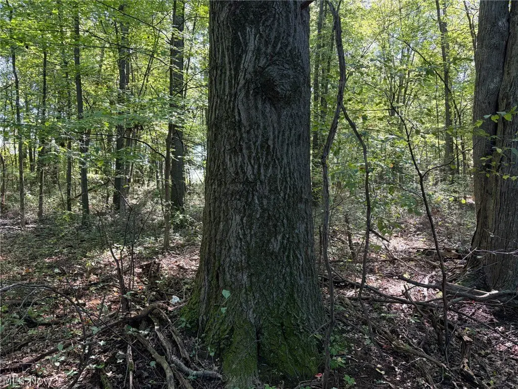 Picture 28