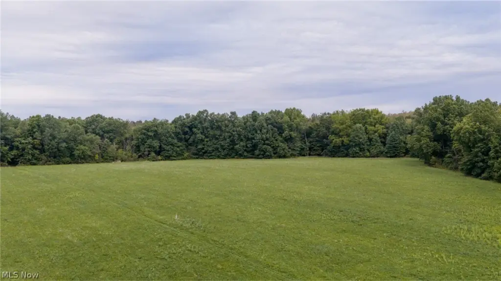 Picture 16
