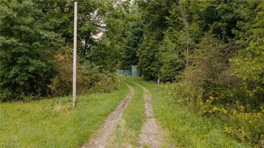 Picture 3