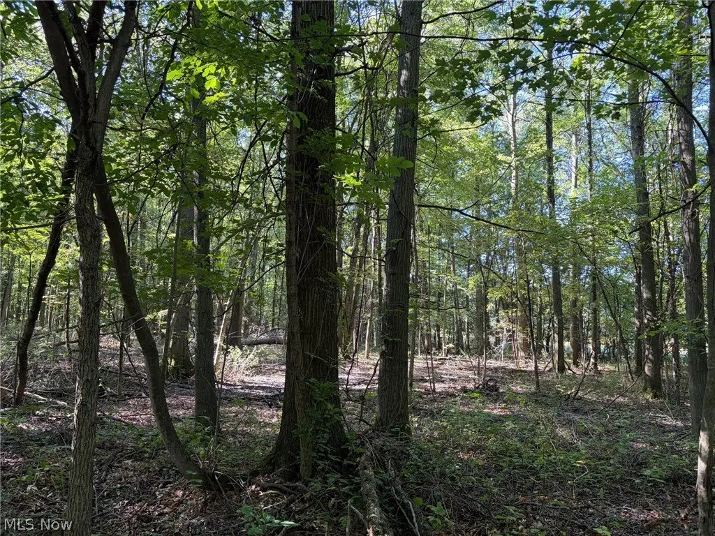 Picture 24