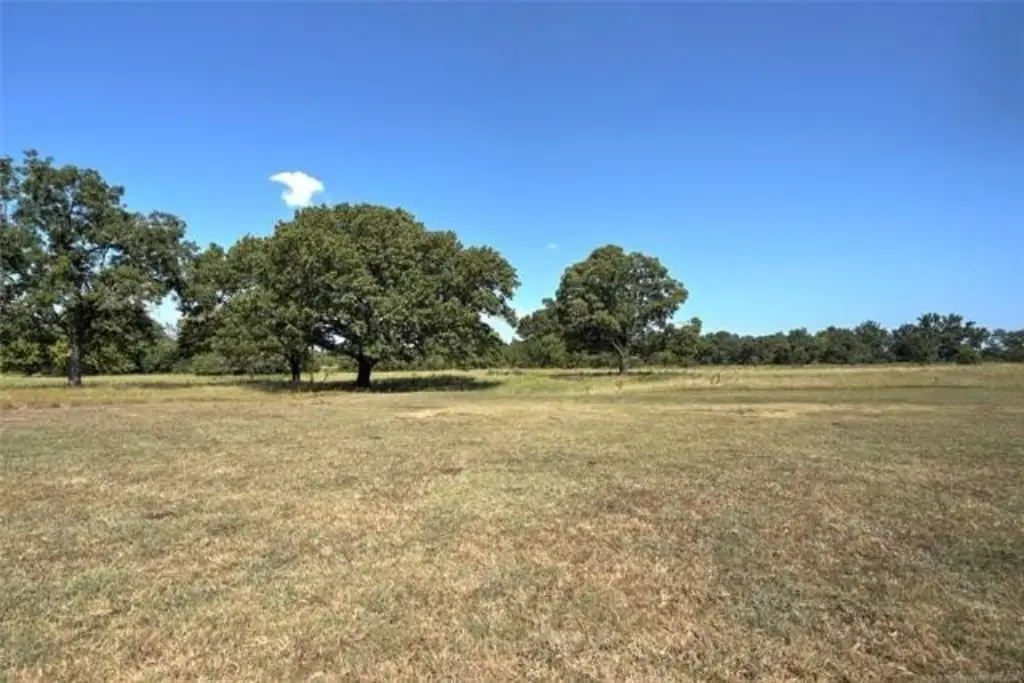 Picture 45