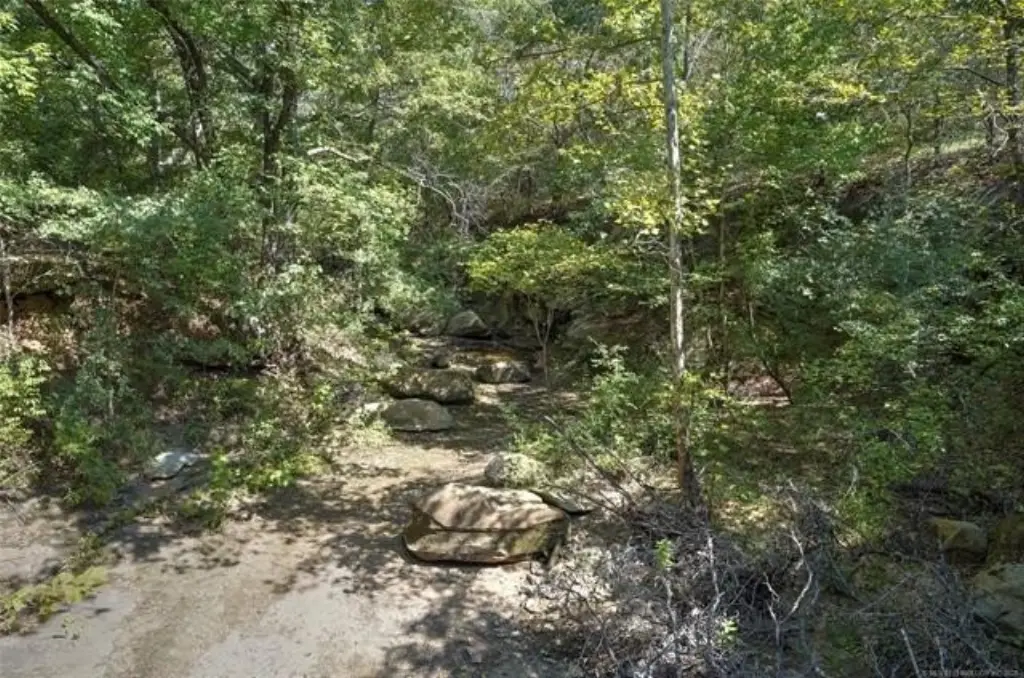 Picture 41