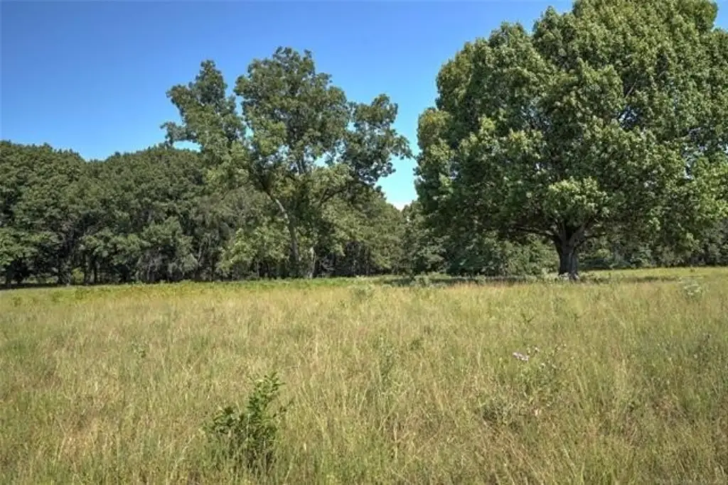 Picture 43