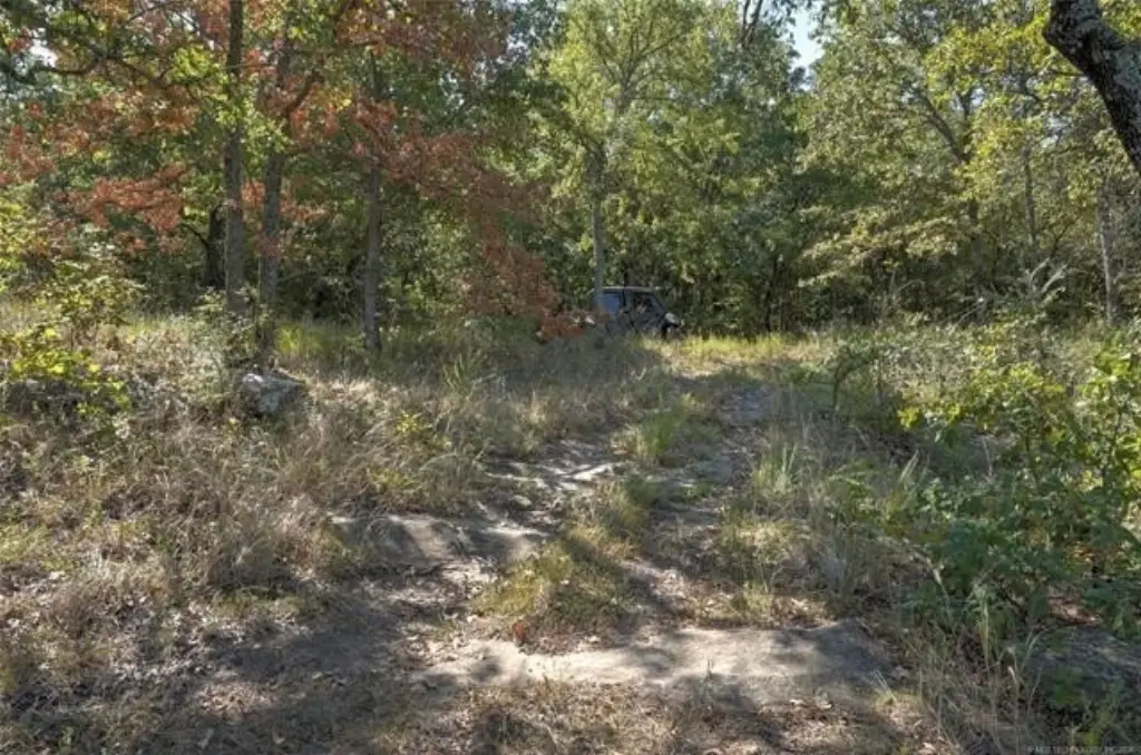 Picture 38