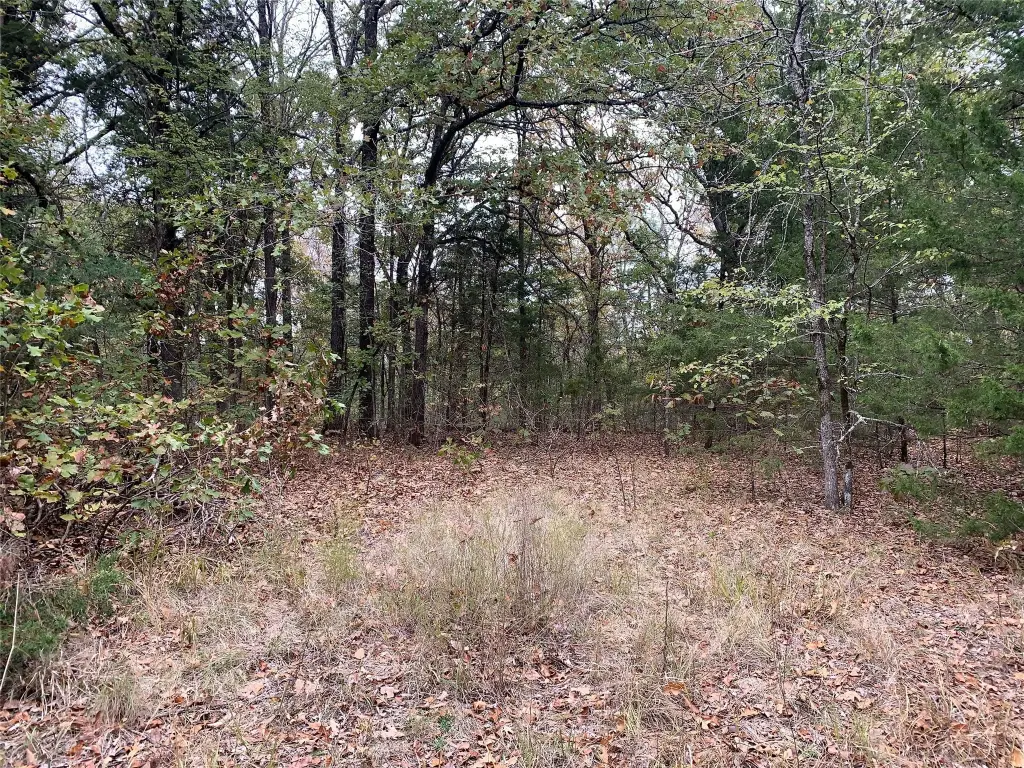 Picture 29
