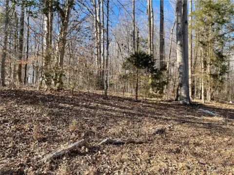 Land in Caroline Pines Community