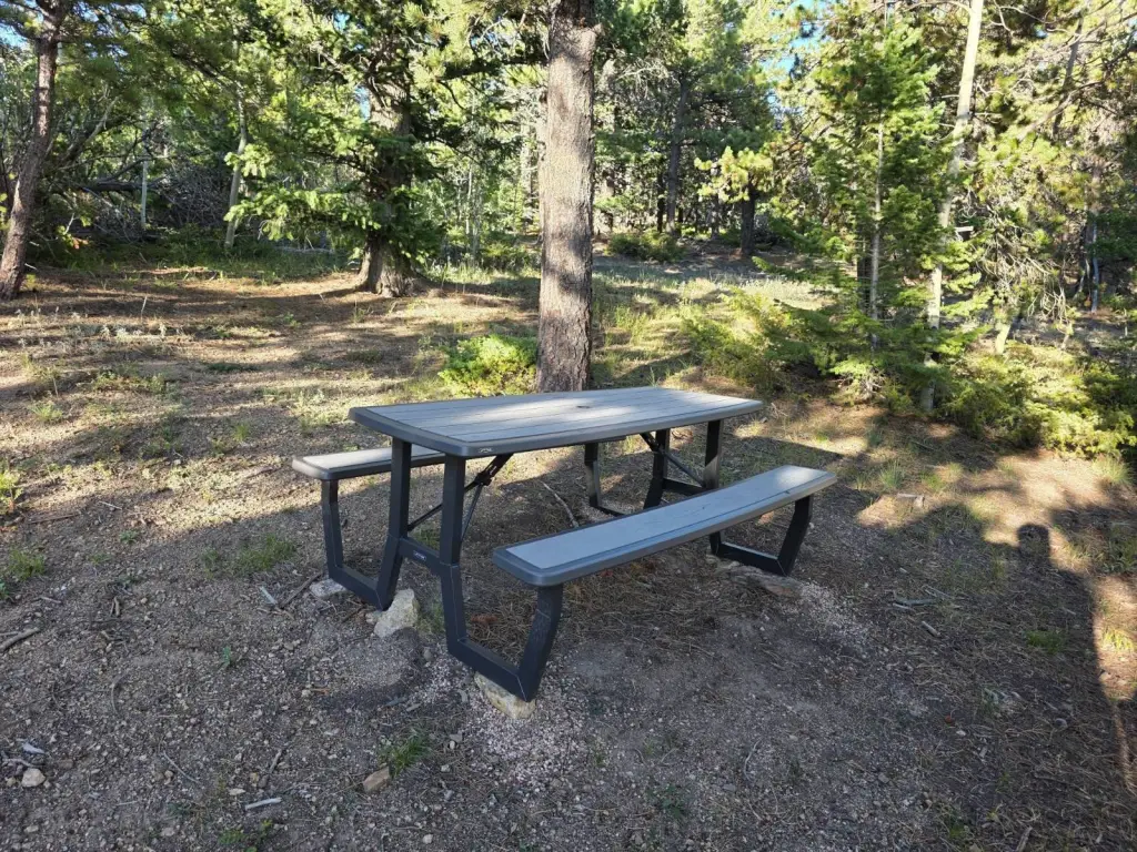 Picture 6
