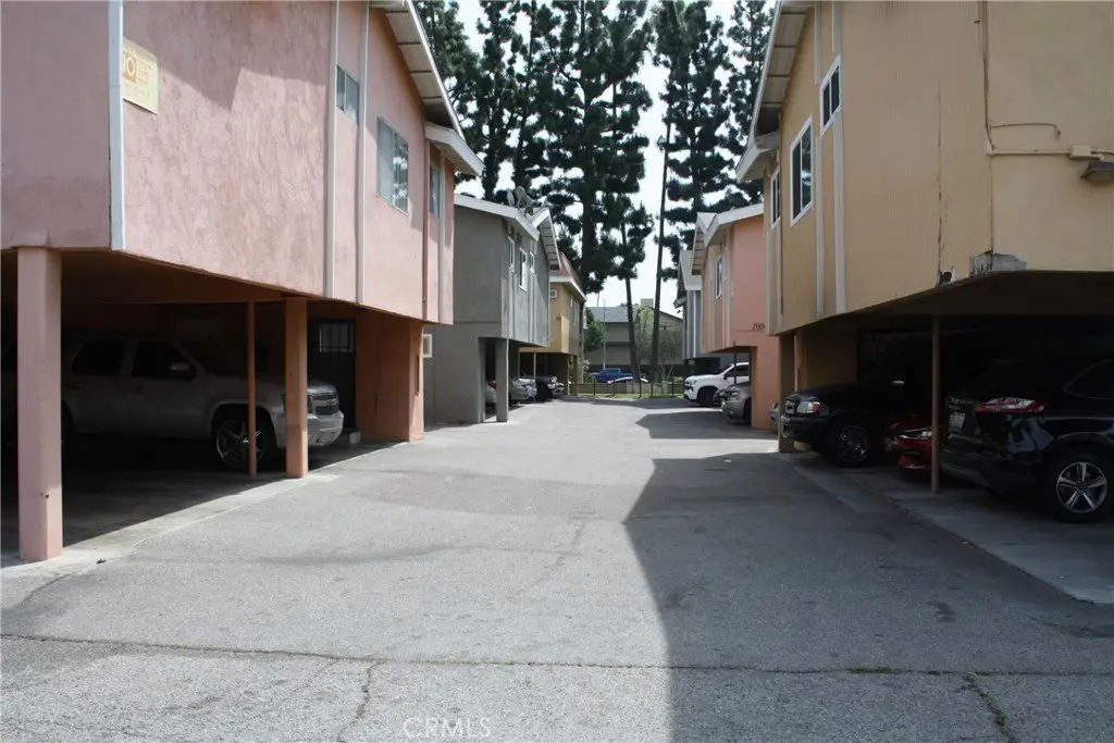 Picture 8