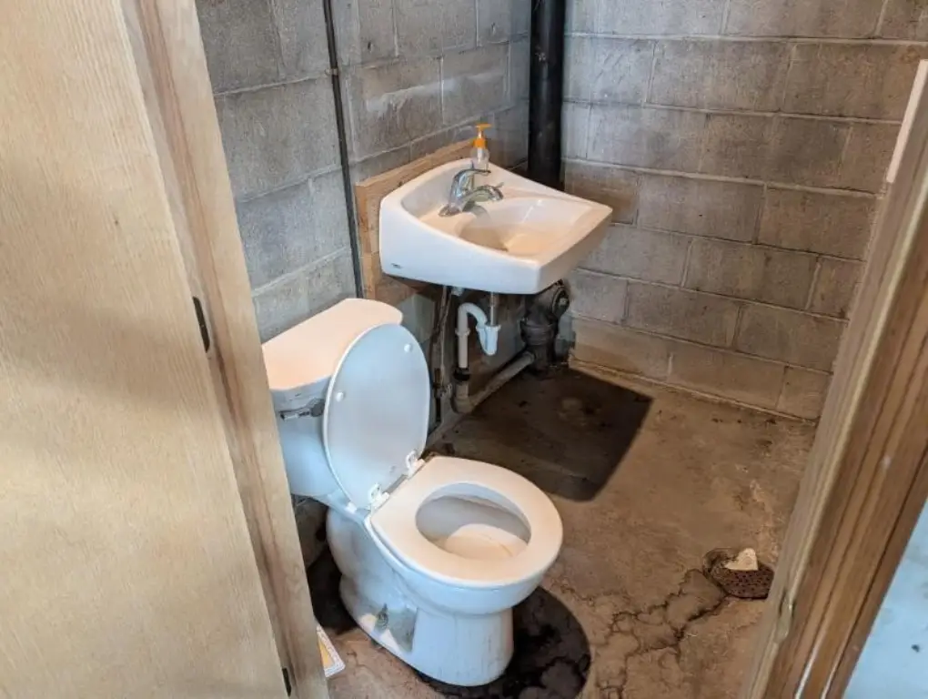 Picture 14