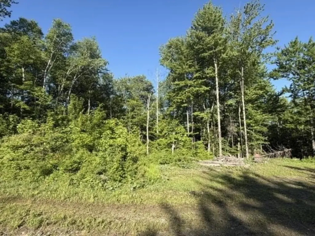 Picture 16