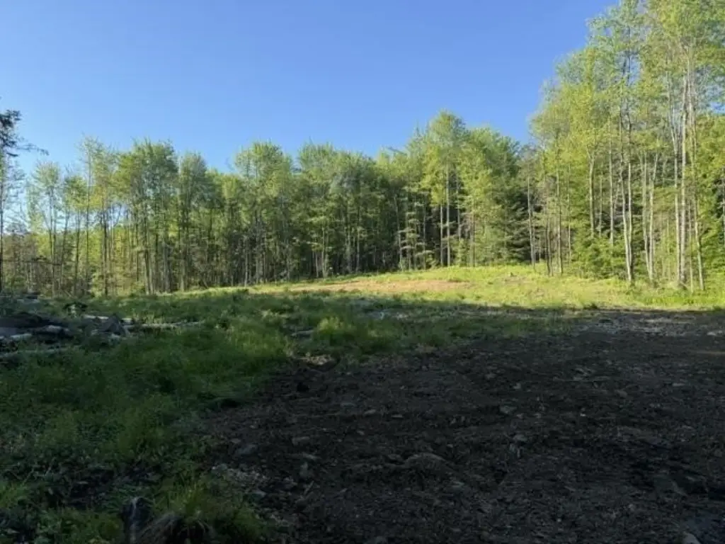 Picture 18