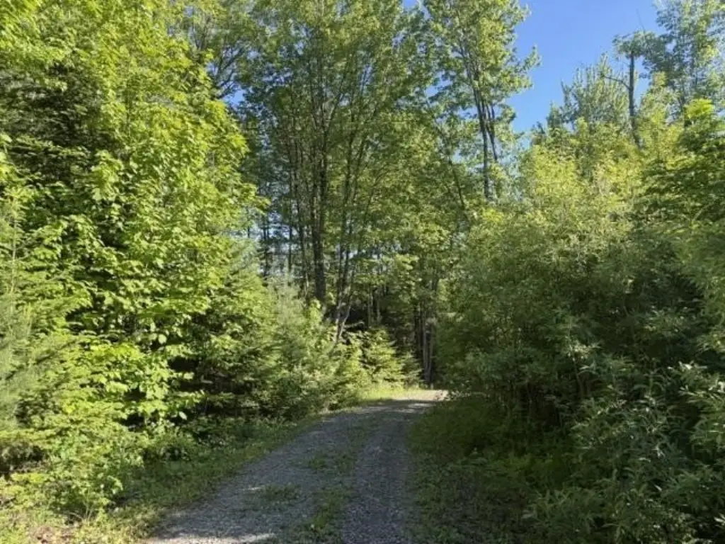 Picture 19