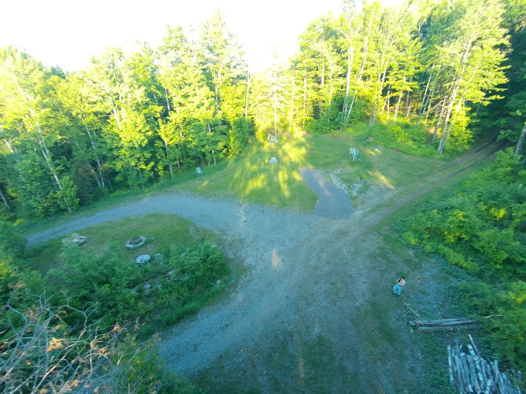 Picture 5