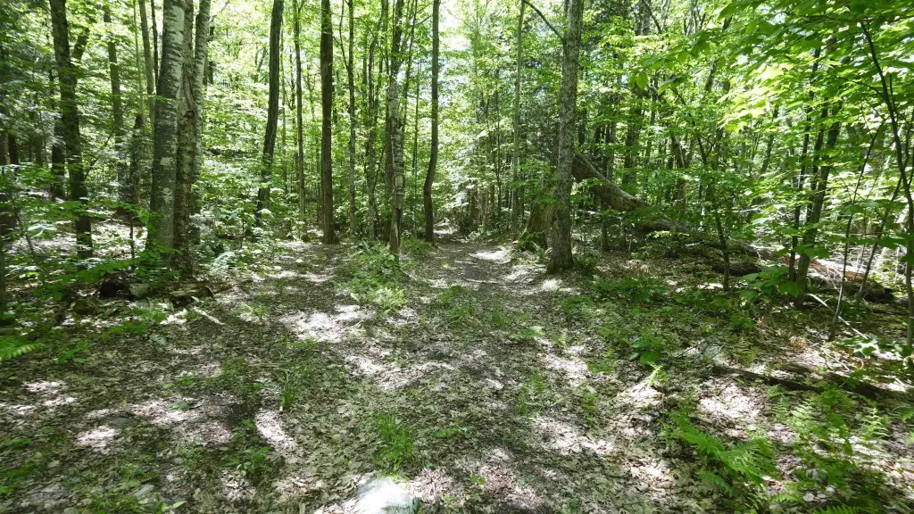 Picture 30