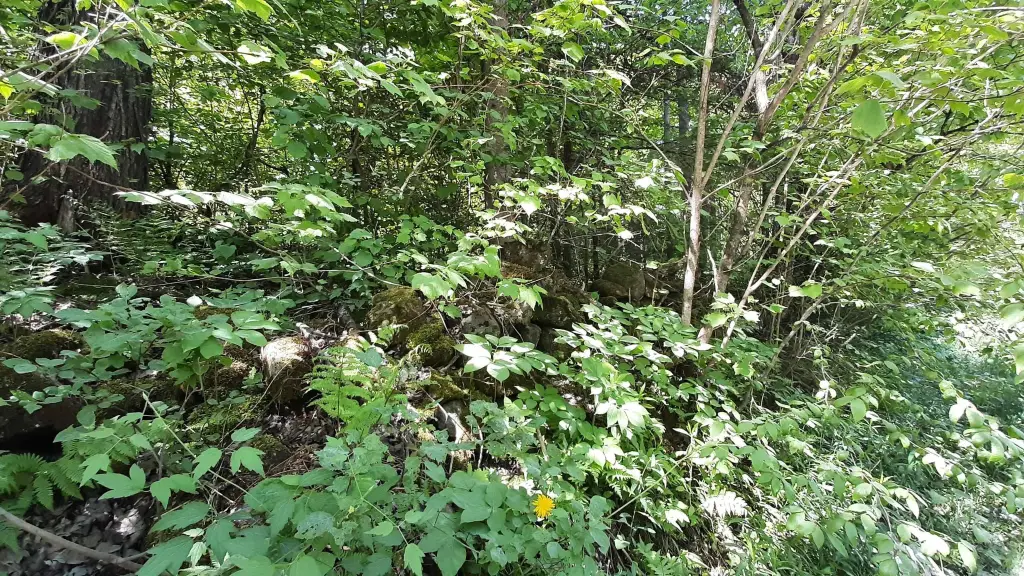 Picture 11