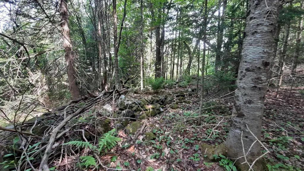 Picture 15